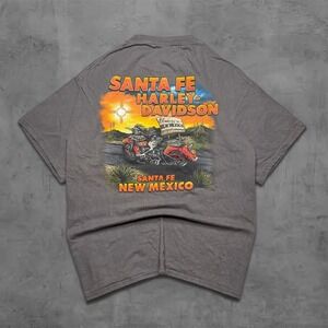 2000s Relaxed Harley-Davidson Santa Fe Streetwear Vintage Tee Shirt